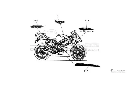 Triumph DAYTONA 675 2009 - Blanc