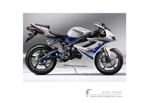 Pegatinas para Triumph DAYTONA 675 2010 - Blanco • Triumph Pegatinas OEM