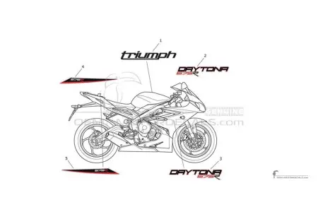 Triumph DAYTONA 675R 2013 - Wit