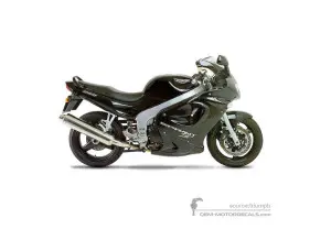 Aufkleber für Triumph SPRINT ST 955i 1999 - Schwarz • Triumph OEM-Aufkleber