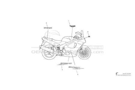 Triumph SPRINT ST 955i 2004 - Groen