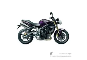 Pegatinas para Triumph STREET TRIPLE 675 2012 - Violeta • Triumph Pegatinas OEM