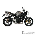 Triumph STREET TRIPLE 675 R 2009 - Szary