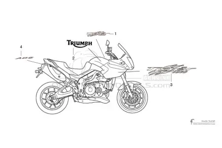 Triumph TIGER 1050 2011 - Wit