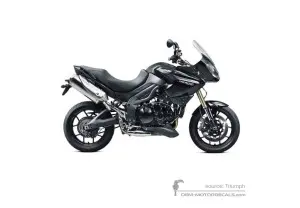 Stickers voor Triumph TIGER 1050 2012 - Zwart • Triumph OEM Stickers