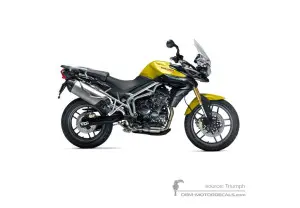 Decals for Triumph TIGER 800 2012 - Yellow • Triumph OEM Decals