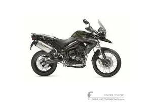 Decals for Triumph TIGER 800XC 2013 - Green • Triumph OEM Decals
