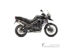 Decals for Triumph TIGER 800XCx 2017 - Black • Triumph OEM Decals