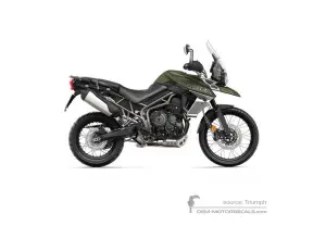 Decals for Triumph TIGER 800XCx 2018 - Green • Triumph OEM Decals