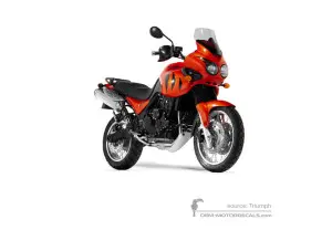 Aufkleber für Triumph TIGER 955i 2003 - Orange • Triumph OEM-Aufkleber