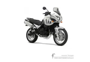 Aufkleber für Triumph TIGER 955i 2004 - Silber • Triumph OEM-Aufkleber