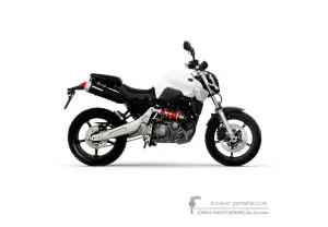 Autocollants pour Yamaha MT03 2006 - Gris • Yamaha Autocollants OEM