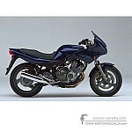 Yamaha XJ600S DIVERSION 1997 - Blue