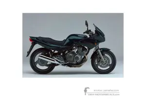 Aufkleber für Yamaha XJ600S DIVERSION 1998 - Grün • Yamaha OEM-Aufkleber