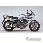 Yamaha XJ600S DIVERSION 2002 - Argento