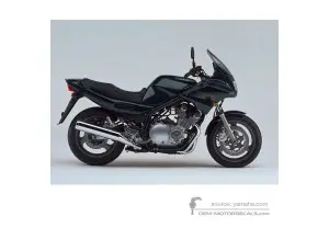 Autocollants pour Yamaha XJ900S DIVERSION 2001 - Vert • Yamaha Autocollants OEM