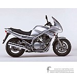 Yamaha XJ900S DIVERSION 2002 - Silver
