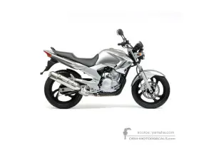Adesivi per Yamaha YBR250 2007 - Argento • Yamaha Adesivi OEM