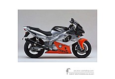 Adesivi per Yamaha YZF600R THUNDERCAT 1998 - Grigio • Yamaha Adesivi OEM