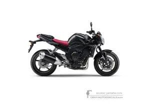 Decals for Yamaha FZ1N 2009 - Gray • Yamaha OEM Decals