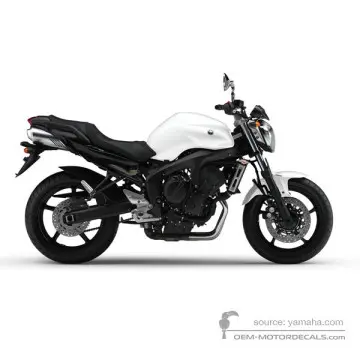 Yamaha FZ6-N 2007