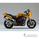 Yamaha FZS600 FAZER 1998 - Yellow