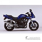 Yamaha FZS600 FAZER 2002 - Blue