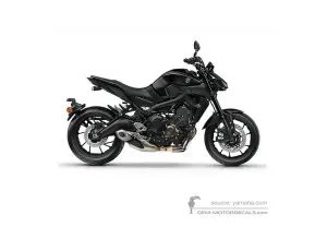 Decals for Yamaha MT09 2017 - Gray • Yamaha OEM Decals