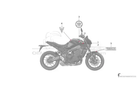 Yamaha MT09 2021 - Dark gray