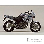 Yamaha TDM850 1992 - Silver