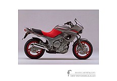 Adesivi per Yamaha TDM850 1994 - Grigio • Yamaha Adesivi OEM