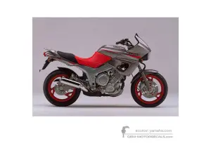 Decals for Yamaha TDM850 1994 - Gray • Yamaha OEM Decals
