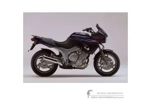 Decals for Yamaha TDM850 1995 - Purple • Yamaha OEM Decals