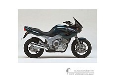 Adesivi per Yamaha TDM850 1996 - Verde • Yamaha Adesivi OEM