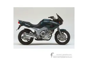 Autocollants pour Yamaha TDM850 1996 - Vert • Yamaha Autocollants OEM