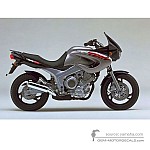 Yamaha TDM850 1997 - Silver