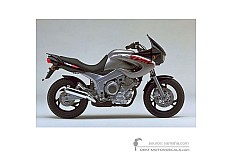 Adesivi per Yamaha TDM850 1997 - Argento • Yamaha Adesivi OEM