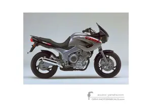 Decals for Yamaha TDM850 1997 - Silver • Yamaha OEM Decals