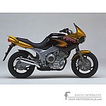 Yamaha TDM850 1998 - Yellow