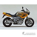 Yamaha TDM850 1999 - Yellow
