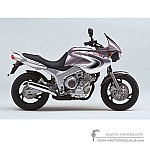 Yamaha TDM850 2000 - Silver