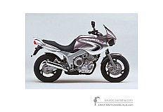 Adesivi per Yamaha TDM850 2000 - Argento • Yamaha Adesivi OEM