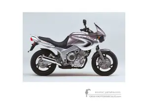 Decals for Yamaha TDM850 2000 - Silver • Yamaha OEM Decals