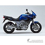 Yamaha TDM850 2001 - Blue