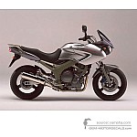 Yamaha TDM900 2003 - Silver