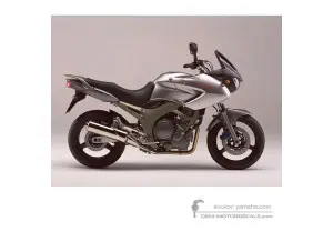 Decals for Yamaha TDM900 2003 - Silver • Yamaha OEM Decals