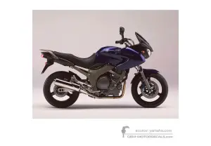 Decals for Yamaha TDM900 2003 - Blue • Yamaha OEM Decals