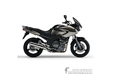 Decals for Yamaha TDM900 2005 - Gray • Yamaha OEM Decals