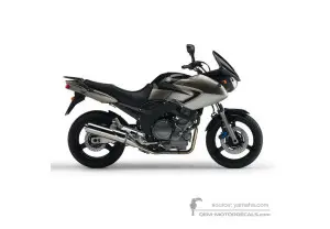 Decals for Yamaha TDM900 2005 - Gray • Yamaha OEM Decals