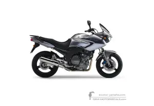 Decals for Yamaha TDM900 2005 - Silver • Yamaha OEM Decals